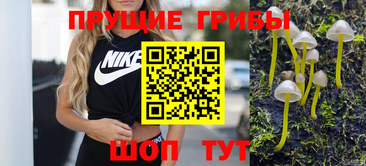 Псилоцибиновые грибы Psilocybe Югорск