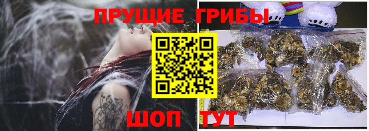 Югорск  Галлюциногенные грибы мухоморы  Вход с VPN 